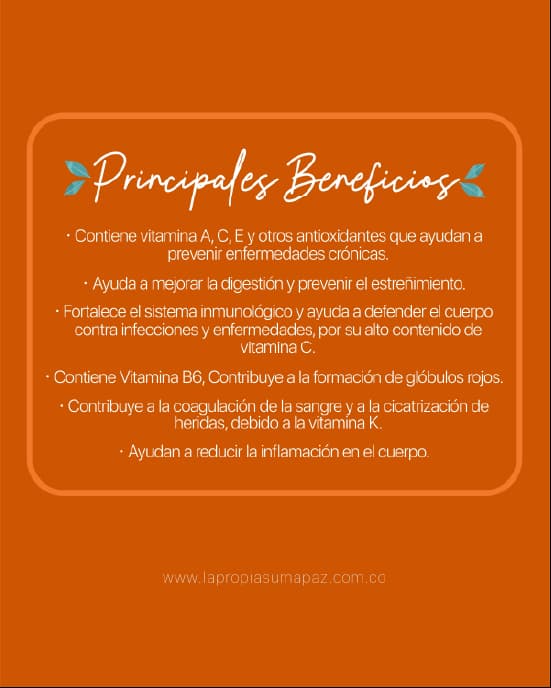 Recurso 8